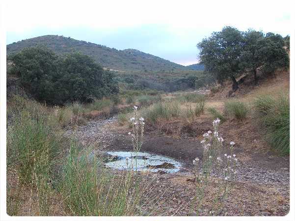 Tabla La Nutra 2005